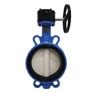 Ductile Iron Wafer Butterfly Valve with Worm Gear for Water