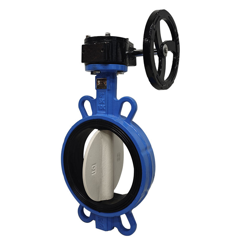 ZPVE gate valve on a fire protection riser