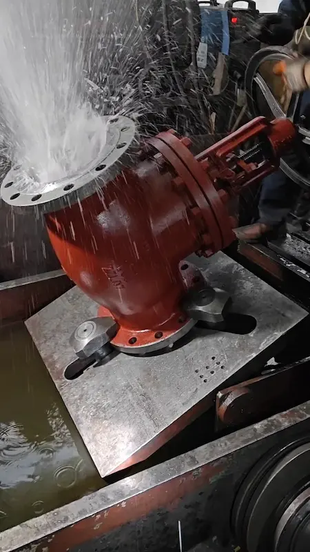 Valve cycle and endurance test for long term reliability