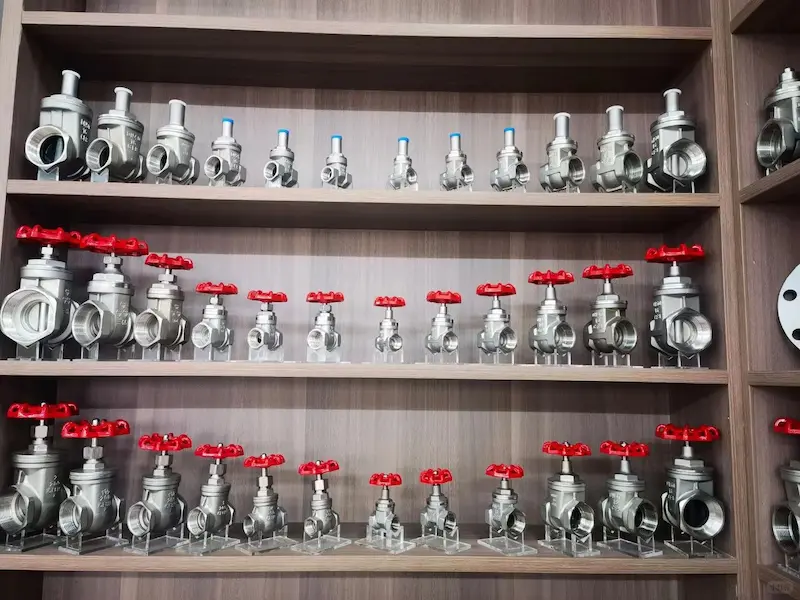 ZPVE valve range