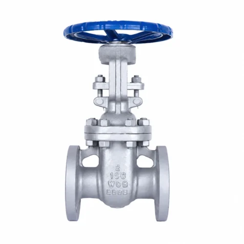 ansi-carbon-steel-gate-valve-white-1000-4