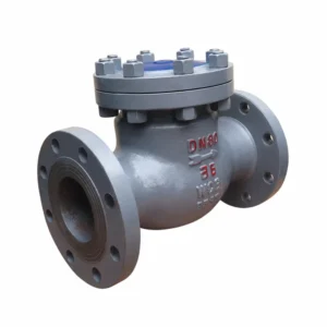 Carbon Steel Check Valve