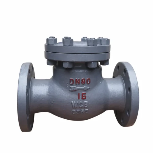 carbon-steel-check-valve-white-1000-2