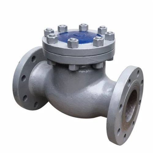 carbon-steel-check-valve-white-1000-3