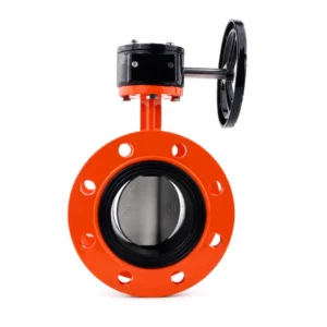 Worm Gear Operated Double Flanged Butterfly Valve