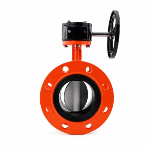 flanged-butterfly-valve-white-1000-4